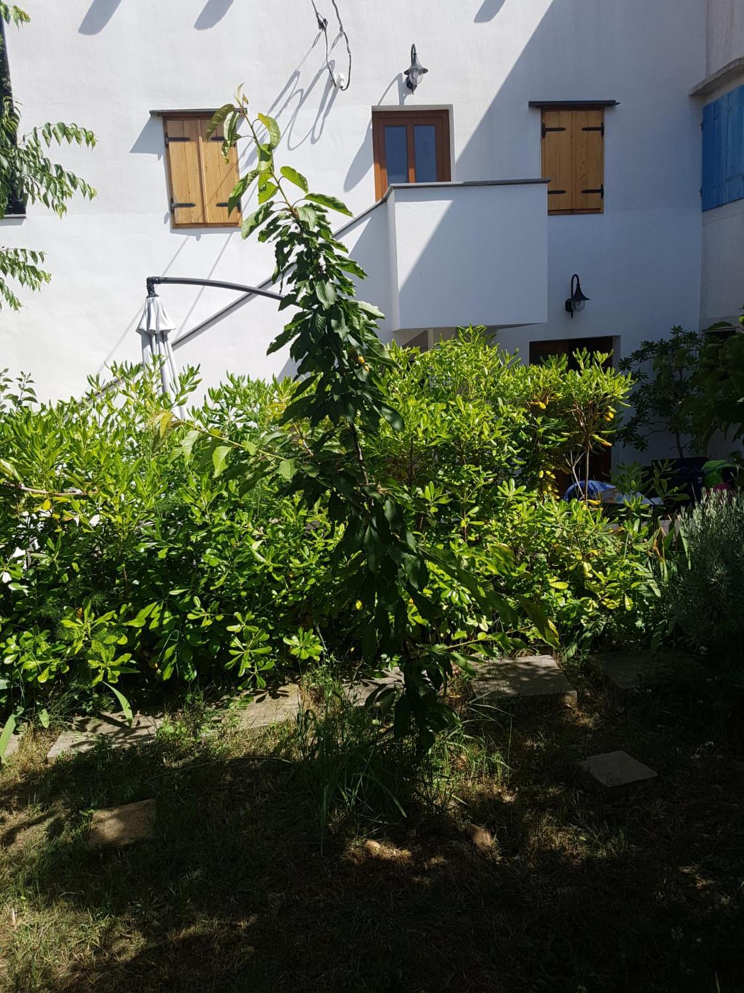 Apartman Stella Maris Veli Lošinj Exterior foto